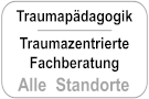 Traumapädagogik / Traumazentrierte Fachberatung